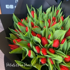 True Love Tulips